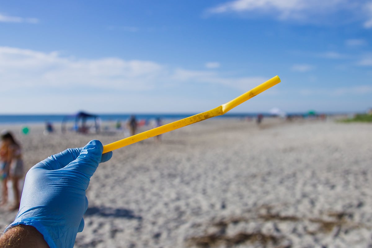 Scientists Develop Completely Biodegradable Paper Straws Scientists Develop Completely Biodegradable Paper Straws