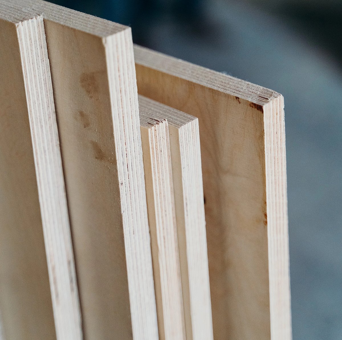 Century Plyboards – Near-Term Outlook Remains Tepid: ICICI Securities