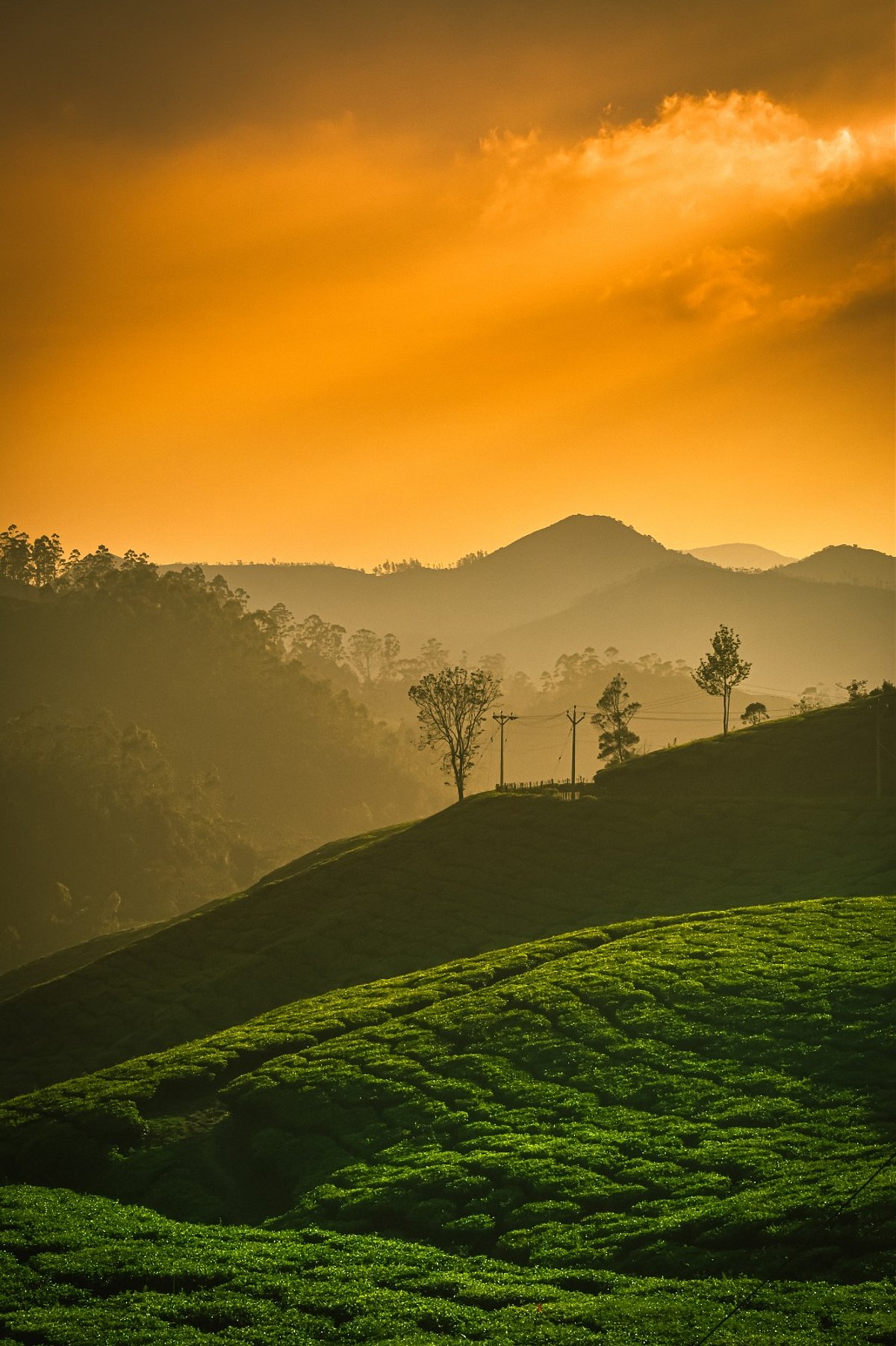 7-summer-vacation-tourist-places-to-visit-in-india-trendradars