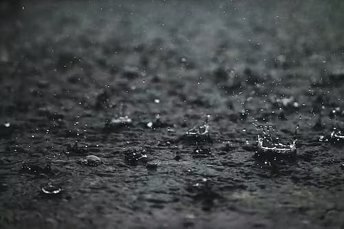 Heavy Rains Cut Off Many Villages In Palghar District