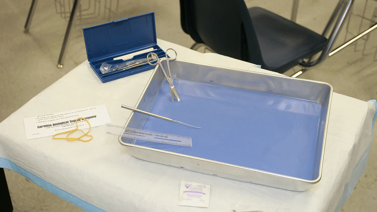 Basics of the Dissection Lab