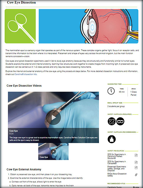 Dissection Guides