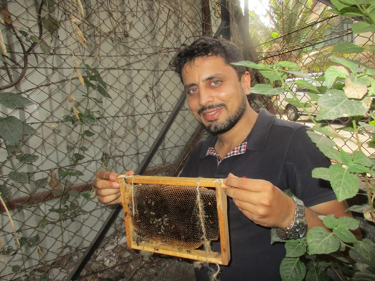 Displaying an apiary panel Amit Godse