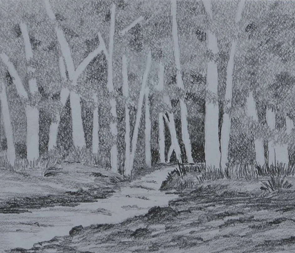 Brook and Woods - pencil sketch by Milind Soman