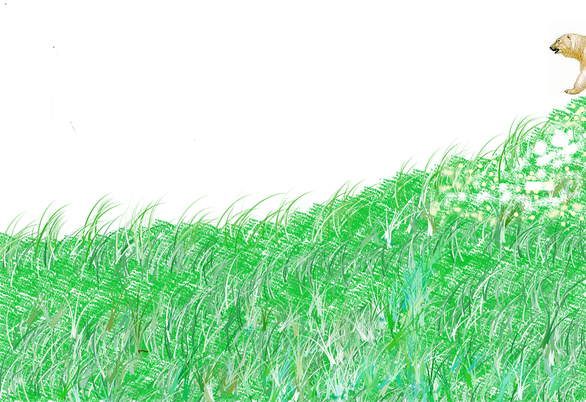 The Arctic snow disappearing and the green grass covering the ground
