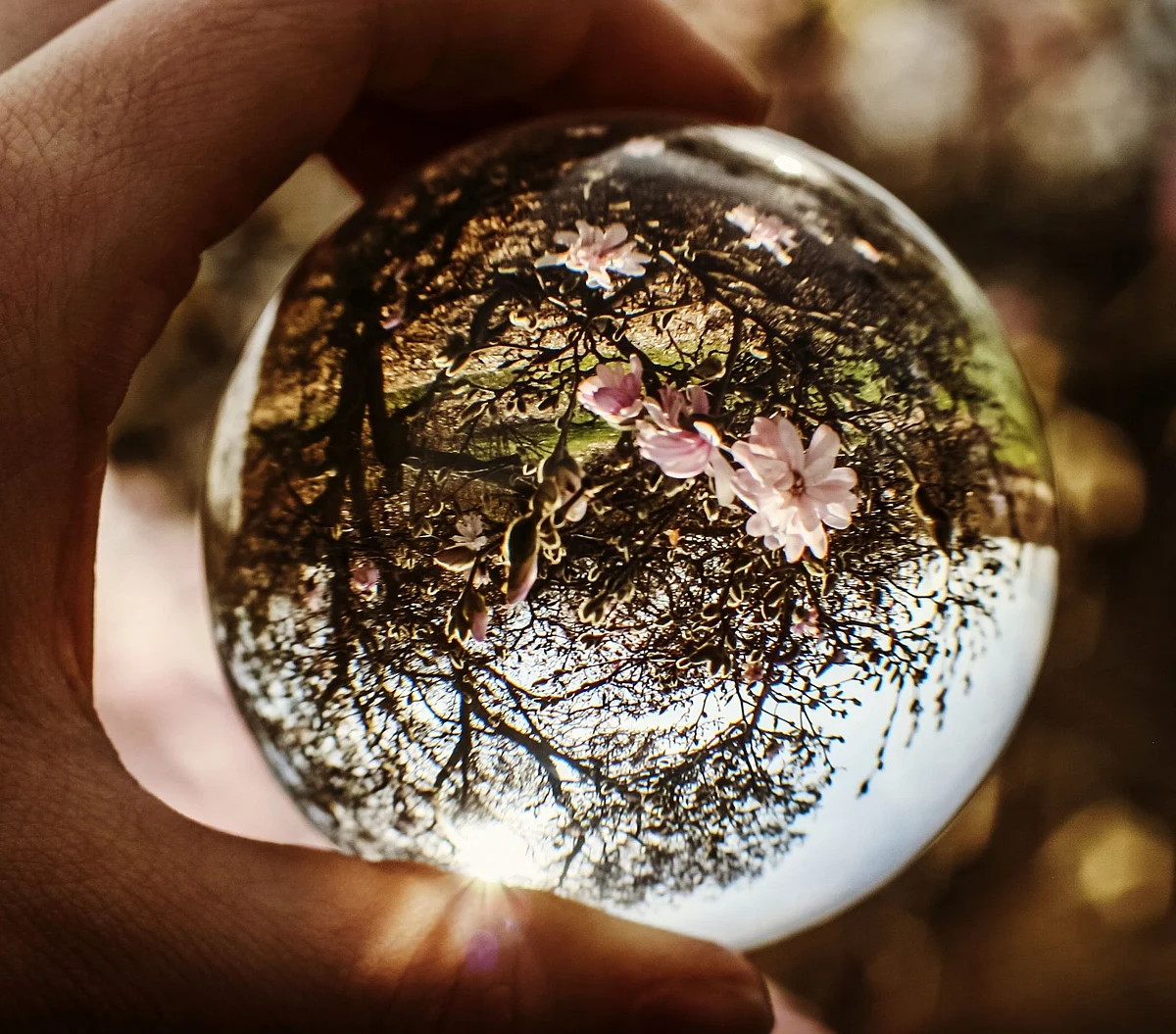 The Magical Marble