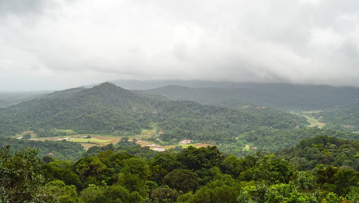 Coorg: The Coffee Cup of India