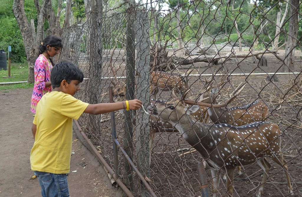 Nisargadhama Park