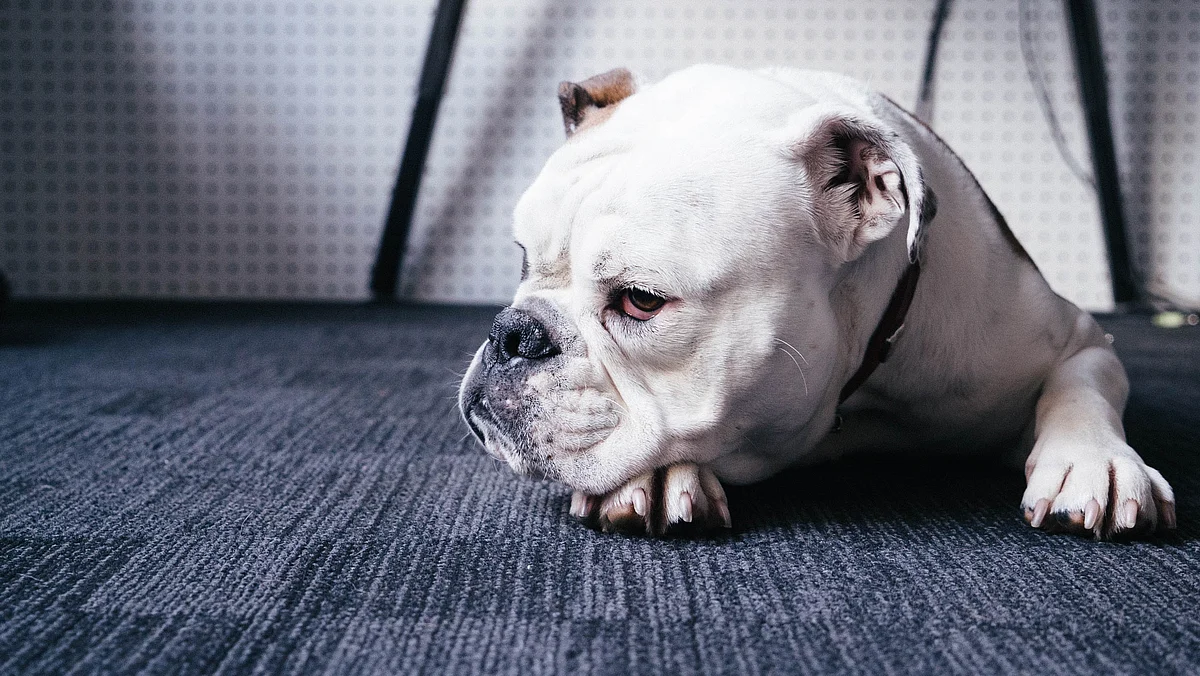 "I Don’t Belong Here": Understanding Imposter Syndrome
