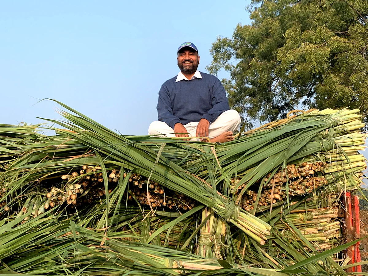 The smile of a man with great passion for his work