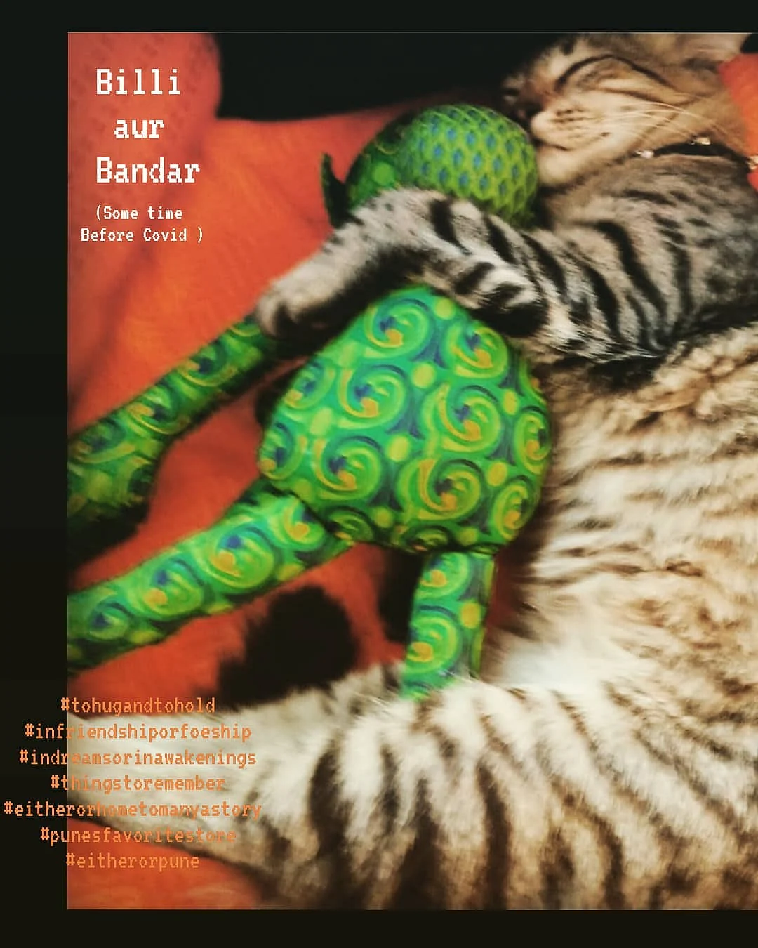 Billi aur Bandar - One of Either Or's latest children's books