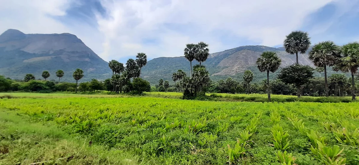 The once barren land, now a lush green beautiful campus of Amrita Vishwa Vidyapeetham in Coimbatore, is a place that moves the spirit and inspires innovation