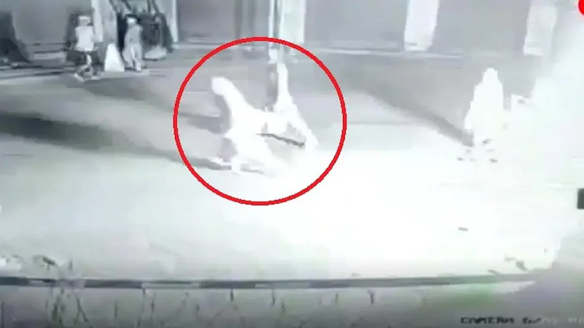 JAMMU AND KASHMIR News: देखें विध्वंसकारी Video, महिला ने CRPF बंकर पर फेंक दिया पेट्रोल बम !