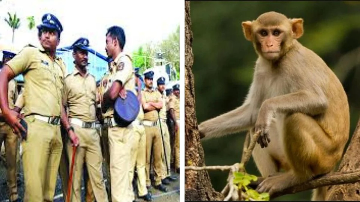 थाने में जगह कम थी तो पुलिस ने पेड़ के नीचे रख दी मर्डर केस के सबूतों की पोटली, बंदर ले भागा