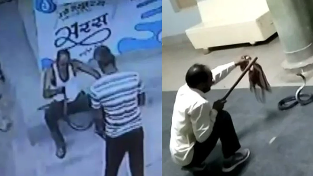 कोबरा के डसने से स्नेकमैन की मौत