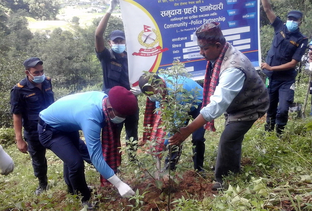 निर्माणाधीन निजामती स्मारक क्षेत्रमा वृक्षरोपण