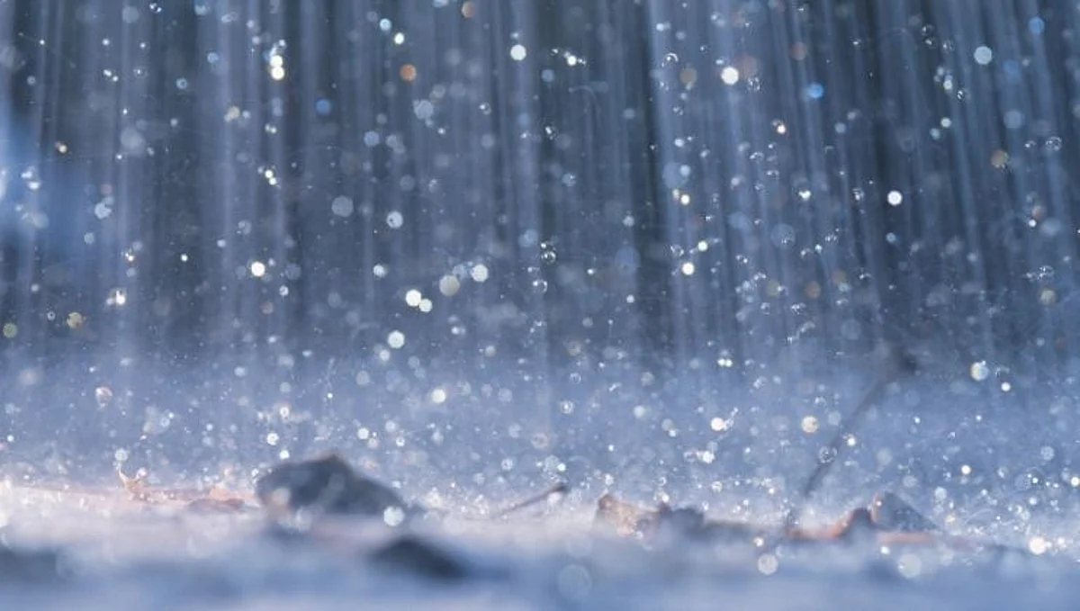 Monsoon Update : महाराष्ट्रातील 5 जिल्ह्यांत रेड अलर्टचा इशारा