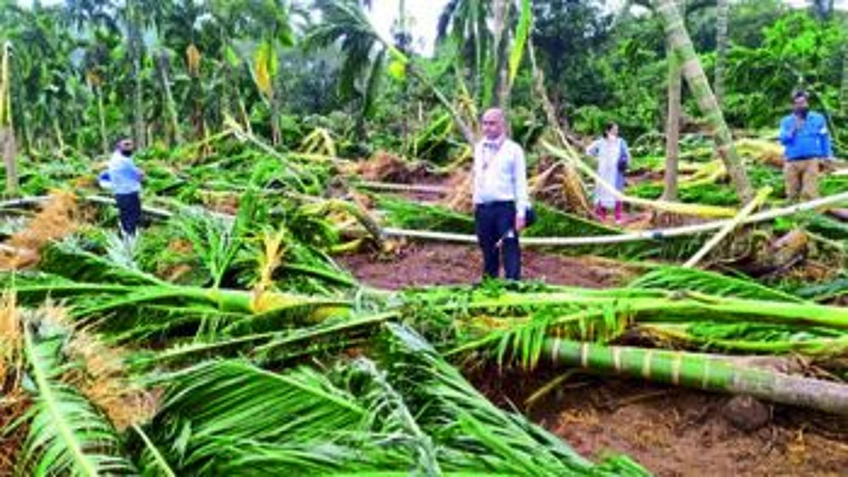 Goa: पावसाचा ८३२ हेक्टर शेतजमिनीला फटका