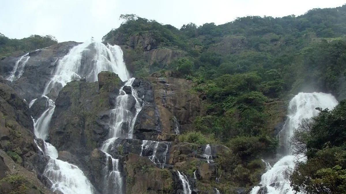 पाहा दूधसागर धबधब्याचे 'Sea of Milk' रूप