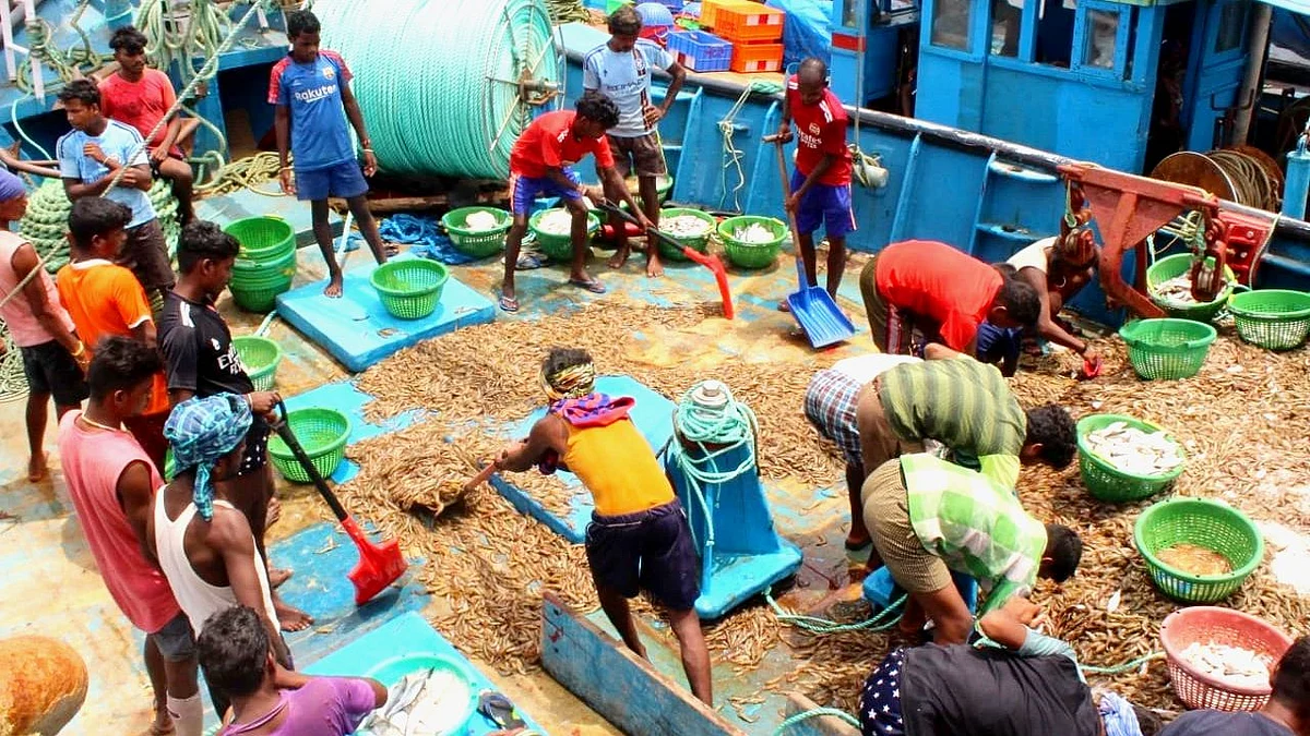 Goa Fish: मासेमाऱ्यांच्या जाळ्यात बांगडे आणि कोळंबी