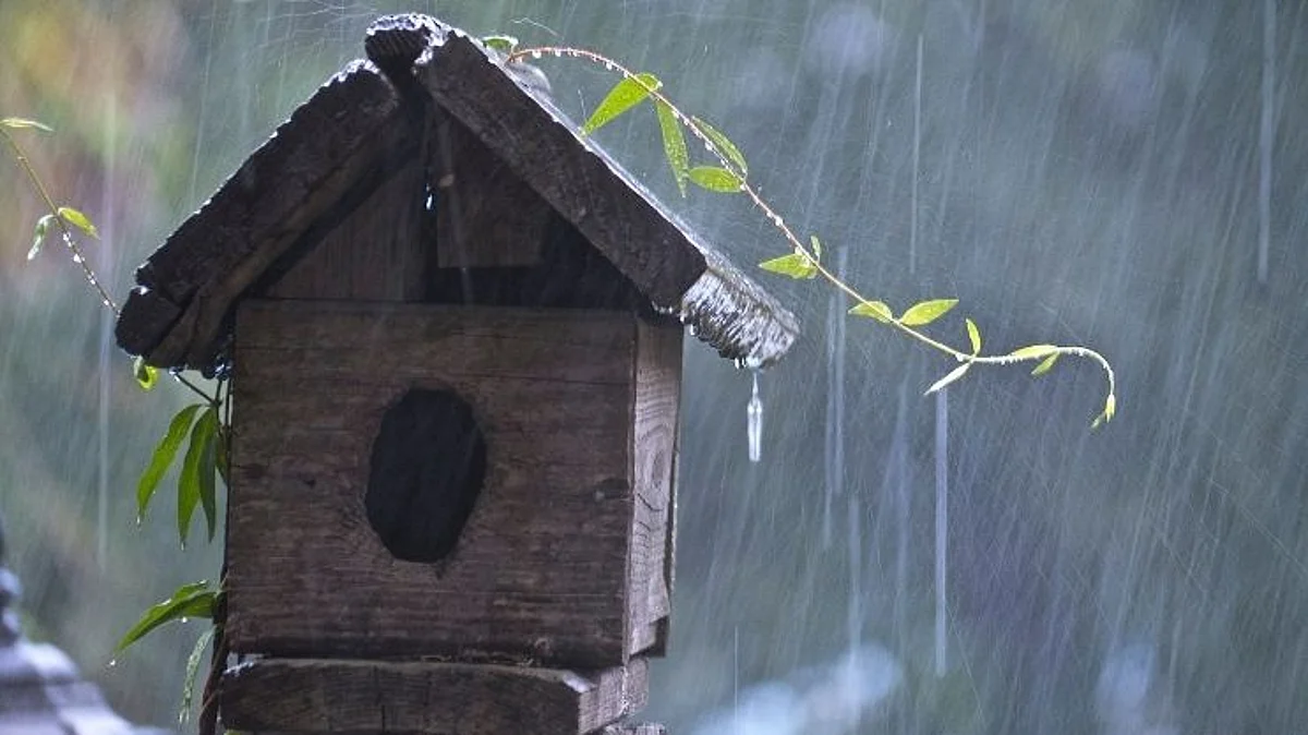 Goa Monsoon Updates: यावर्षी वेळेपूर्वीच होणार मॉन्सूनचे आगमन