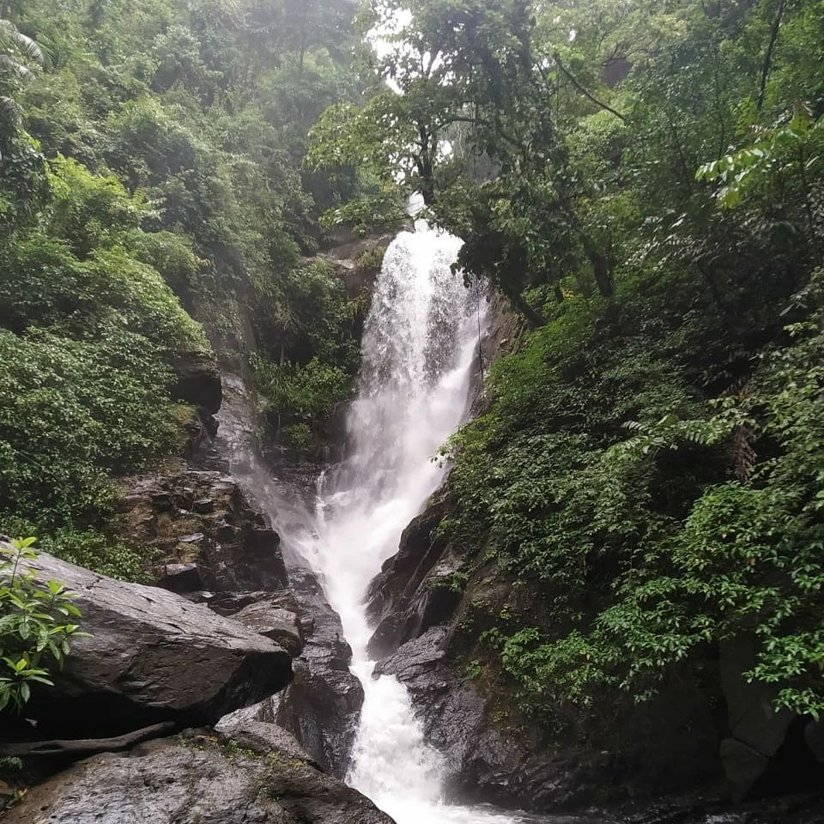 Goa: नेत्रावळीची आर्थिक घडी विस्कटली