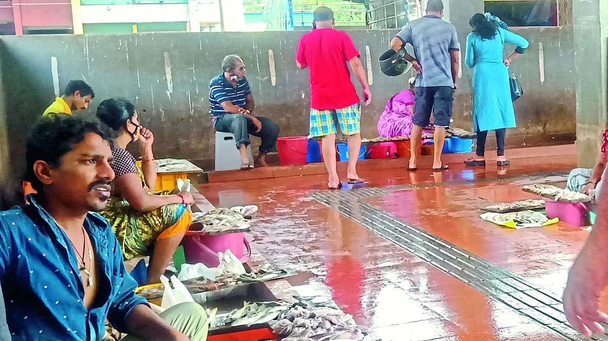 गोव्यात मासळी दरात वाढ
