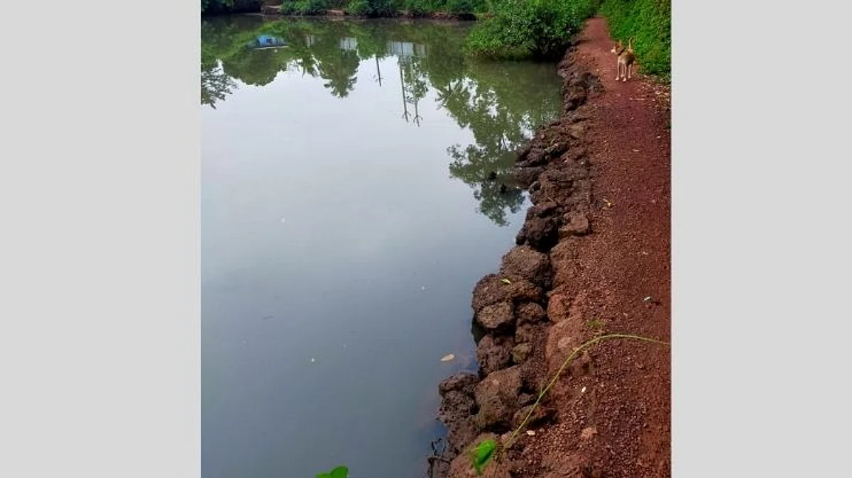 पिळगाव येथील पायवाट असुरक्षित