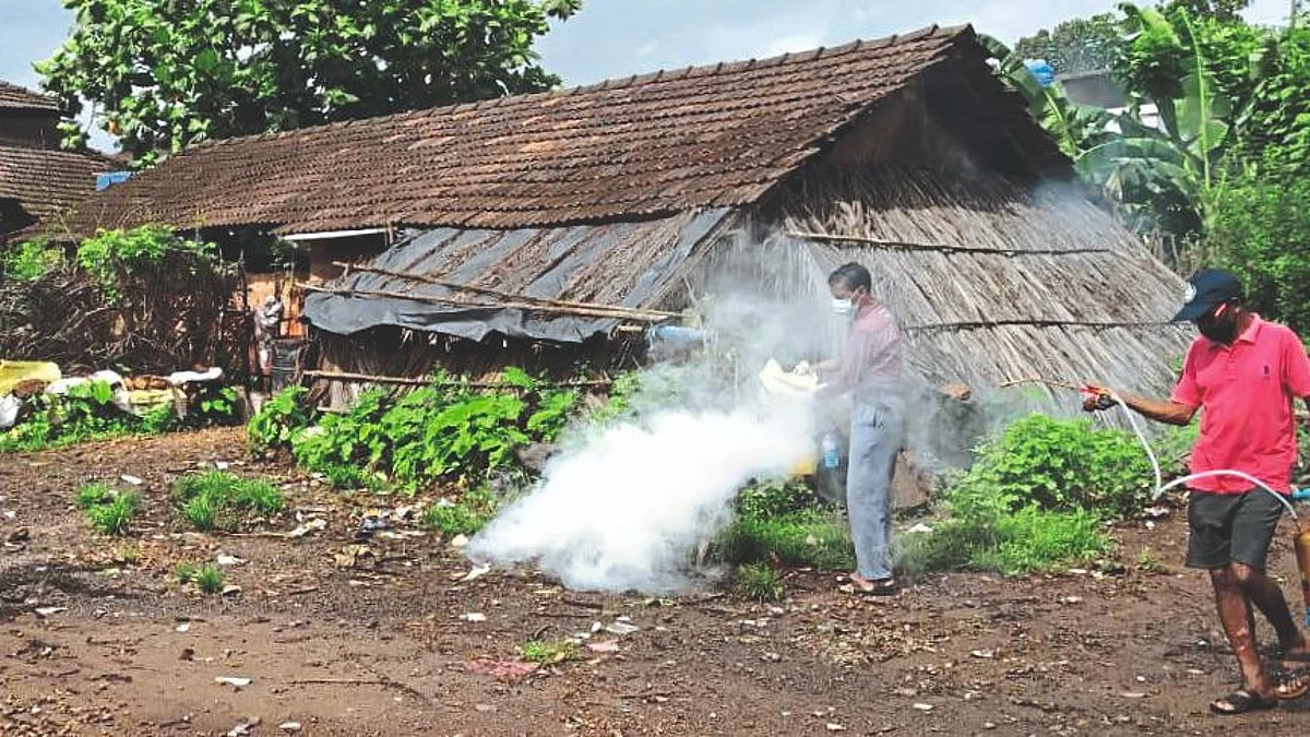 Goa: डिचोलीत डेंग्यूचे ७ रुग्ण