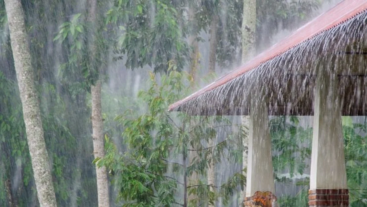 महाराष्ट्रात येत्या चार दिवसात मुसळधार पाऊसाची शक्यता, 'या' जिल्ह्यांमध्ये बरसणार सरी