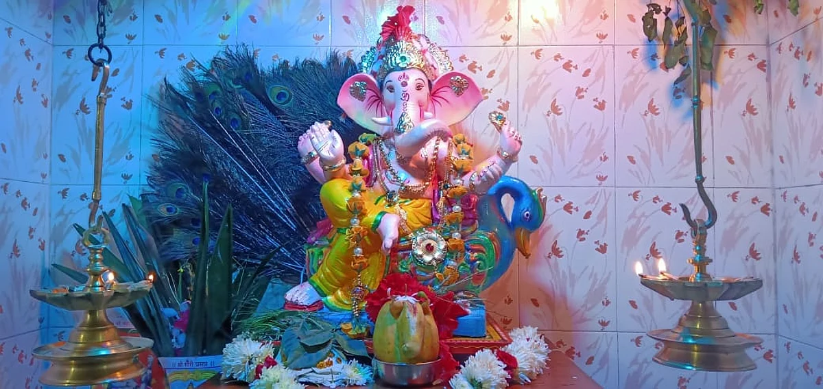 Goa: गणेशभक्ताला मिळाली गणपती सदृश्य आकाराची पपई