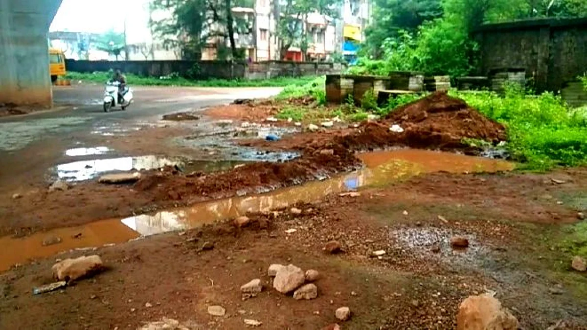 Goa: डेंग्यू सदृश्य डास चावला तर जबाबदार कोण...