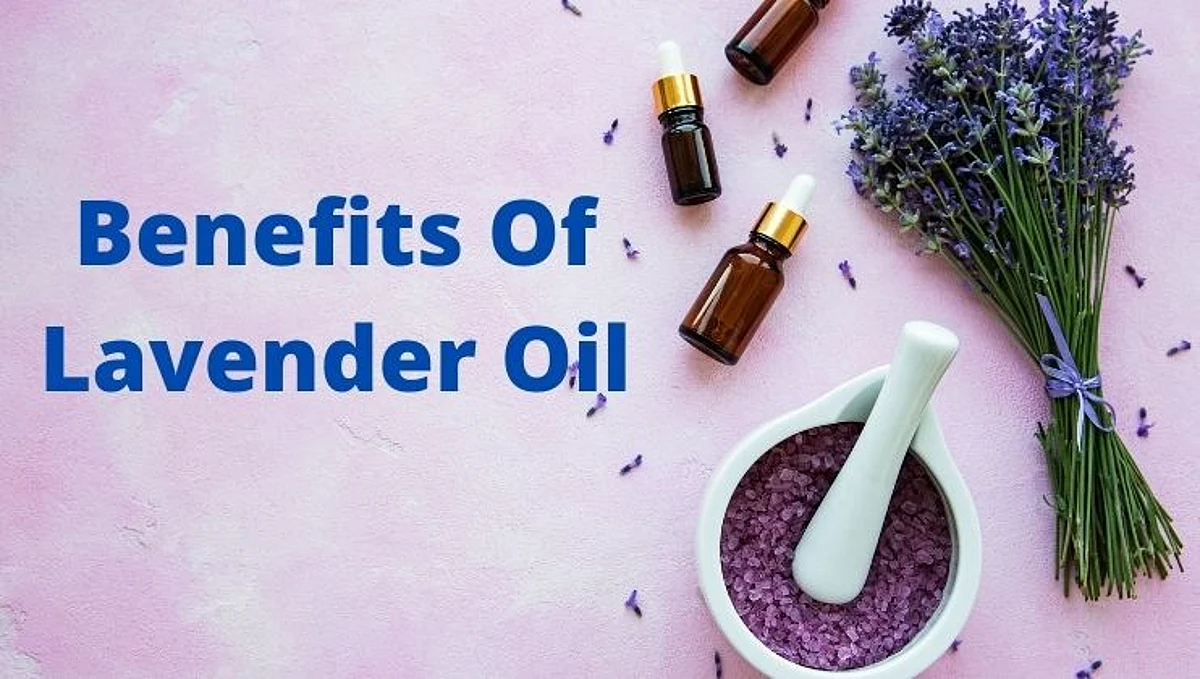 Lavender Oil त्वचेसह केसांच्या आरोग्यासाठी गुणकारी