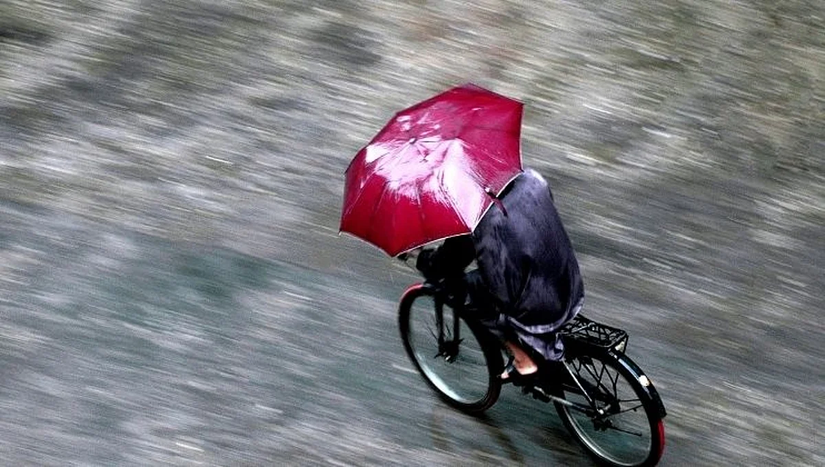 Monsoon Update: IMD कडून रत्नागिरी आणि रायगडला 'रेड अलर्ट'