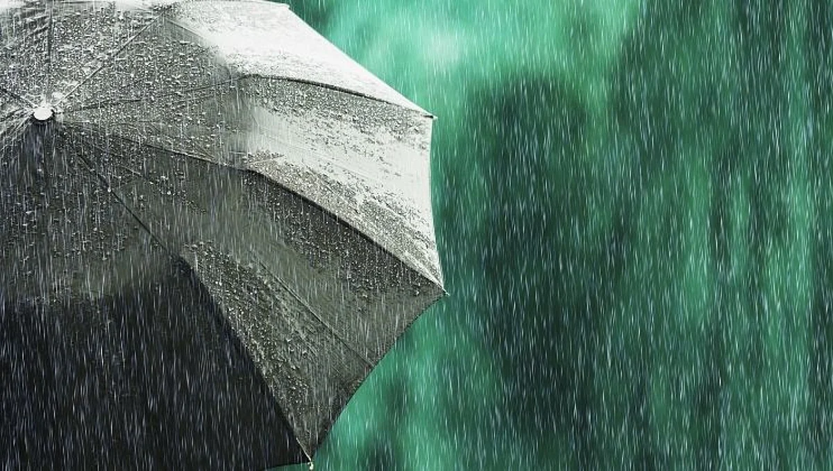 Monsoon Update: दिल्लीसह अनेक राज्यात मॉन्सून पुन्हा सक्रिय