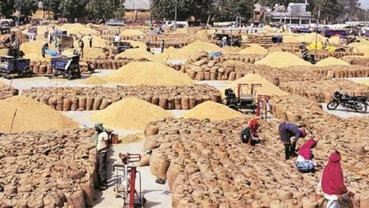 मोदी सरकारने रब्बी पिकांचा वाढवला MSP; शेतकरी संघटनांवर जोरदार हल्ला