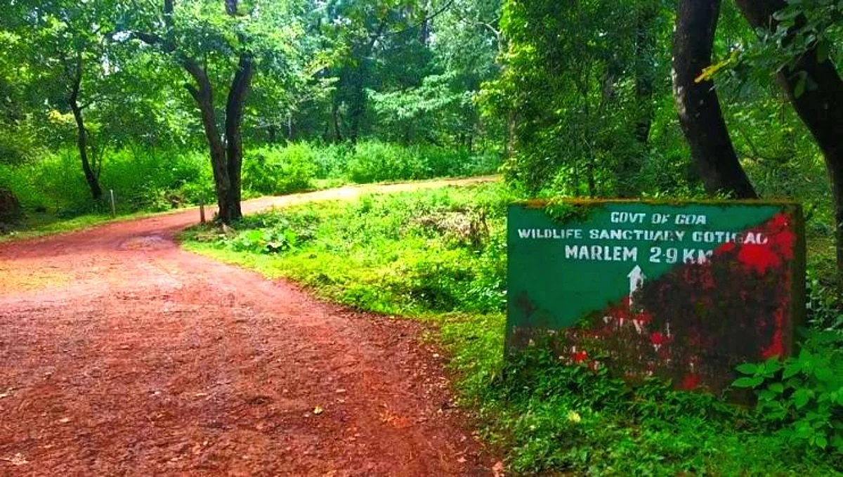 मार्लीवासीयांना 'गोवा मुक्ती'च्या 60व्या वर्षी रस्त्याची भेट