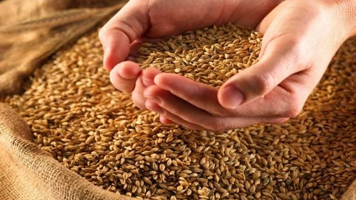 goa TMC demanded an inquiry into grain theft in state