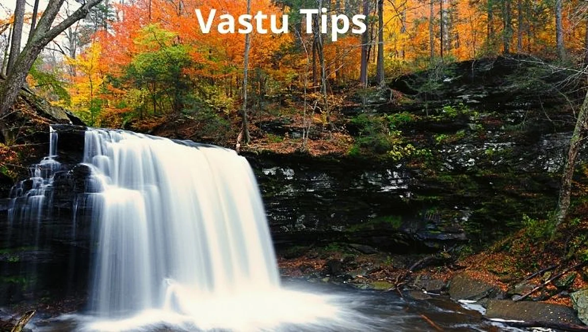 Vastu Tips: आर्थिक समस्या दूर करण्यासाठी घरात लावा हे फोटो