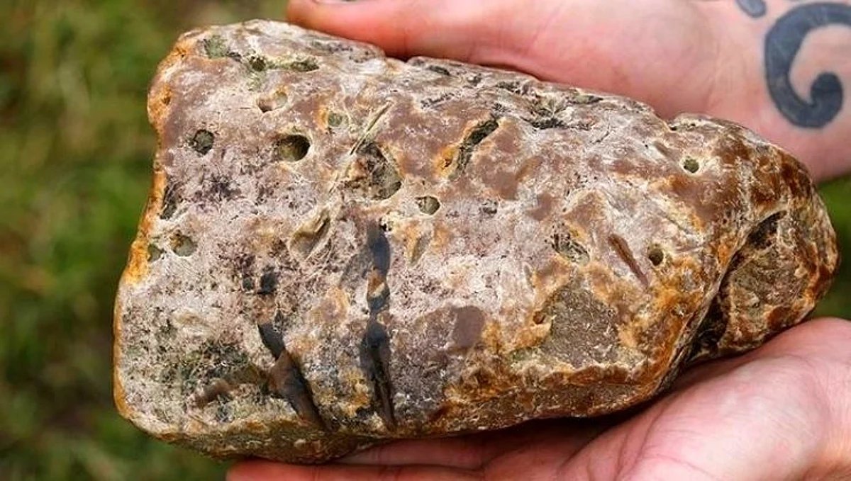 महाराष्ट्रात 'व्हेल माशाच्या उलट्या'सह 2 जणांना अटक..!