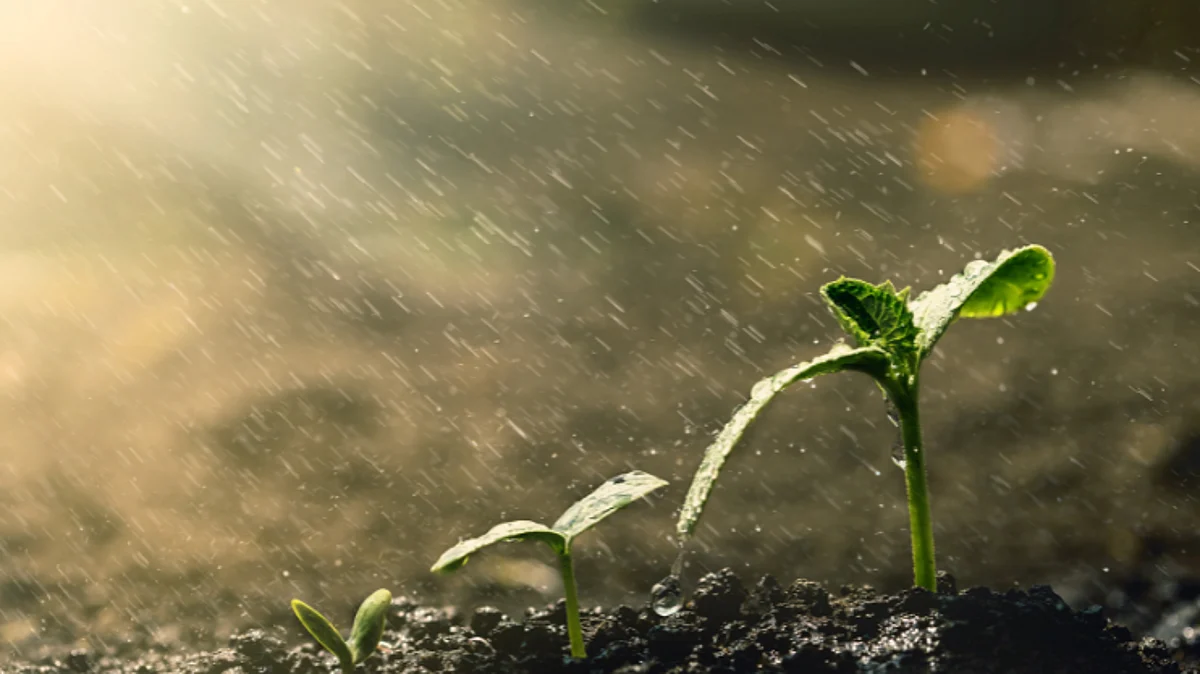 Goa Rain Updates: सोमवारपासून राज्यात पुन्हा पावसाचा इशारा