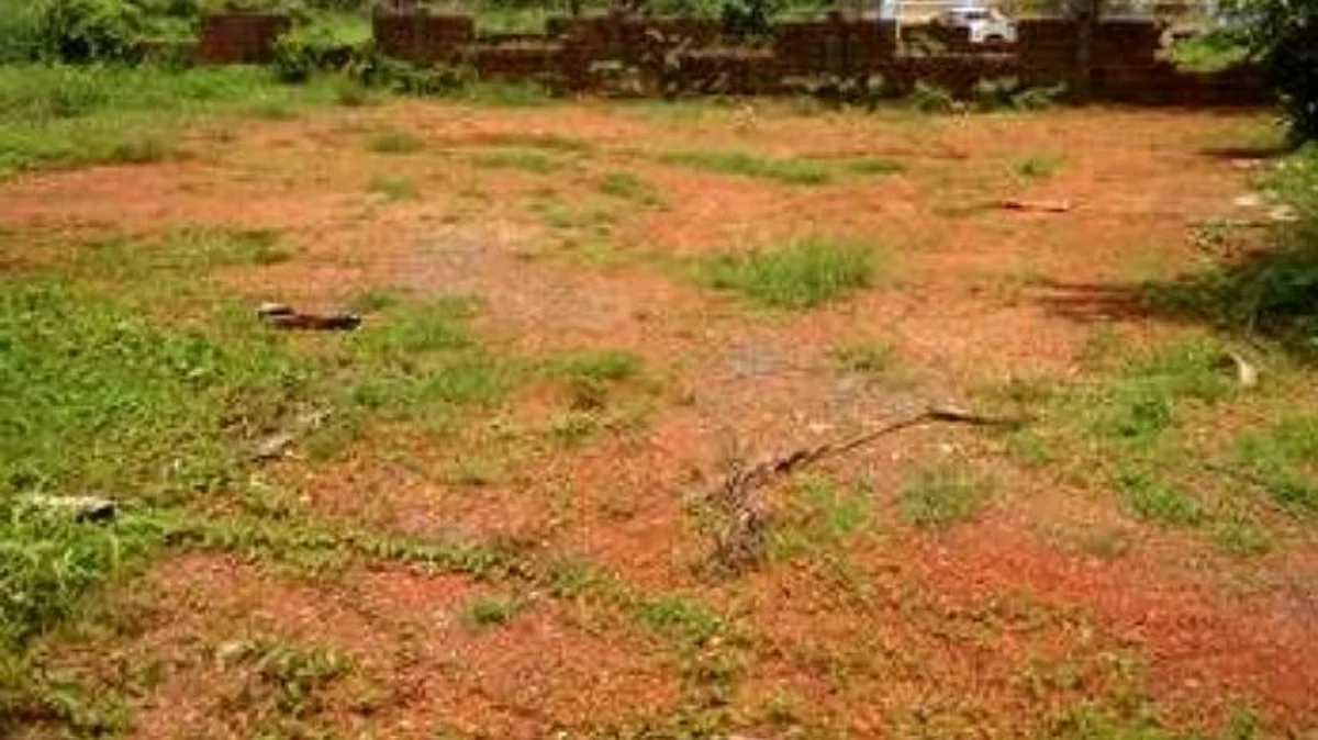 Goa comunidade