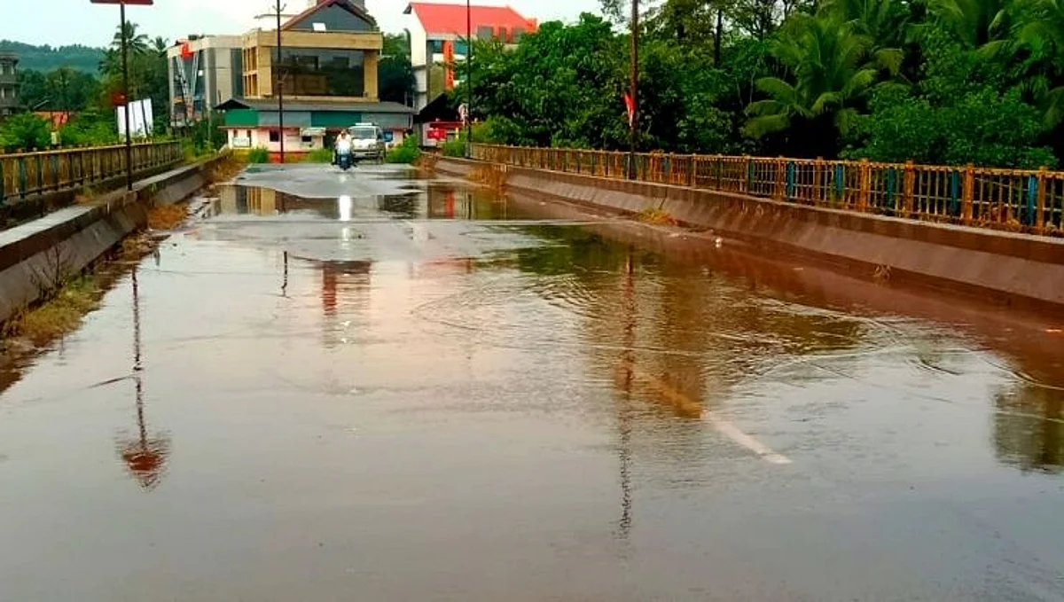 सलग दुसऱ्या दिवशी मेघगर्जनेसह पावसाचा तडाखा.. !