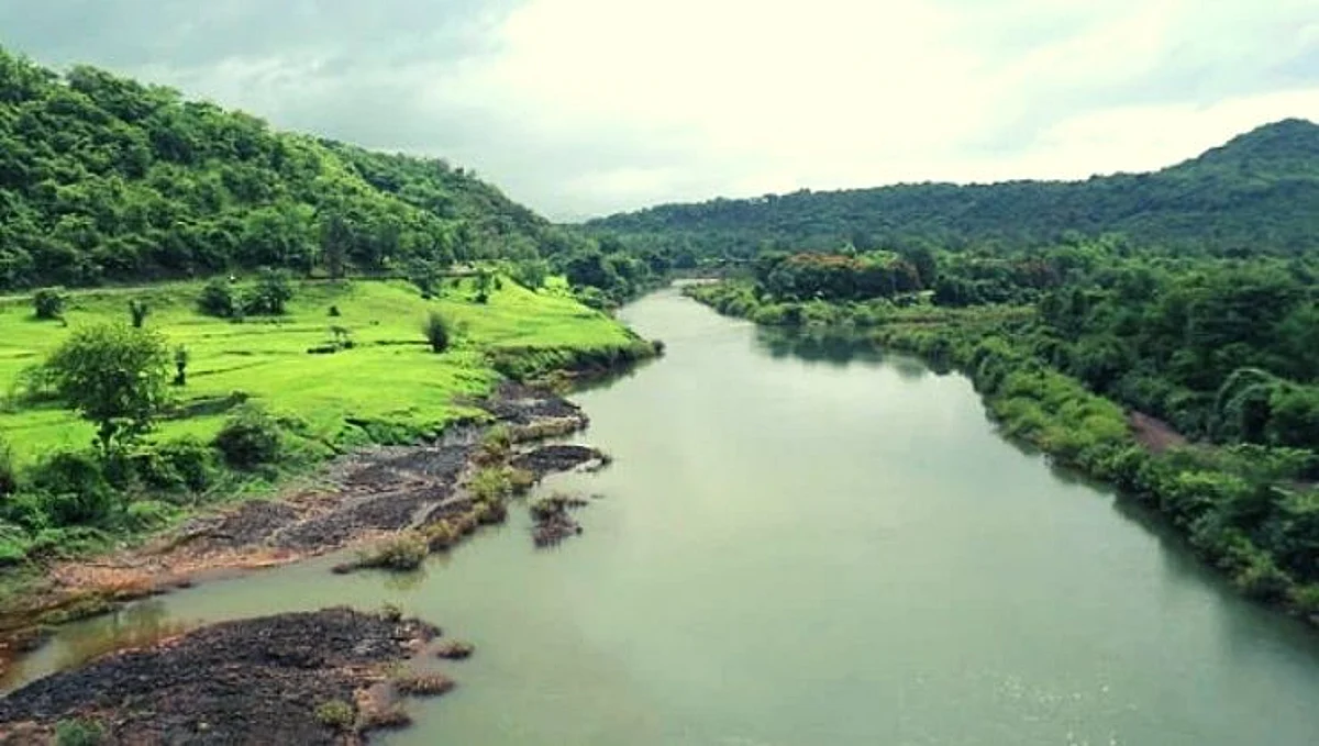'म्हादई' नदीच्या पात्रामुळे पूरण शेती हा जगण्याचा एकमेव आधार बनला!