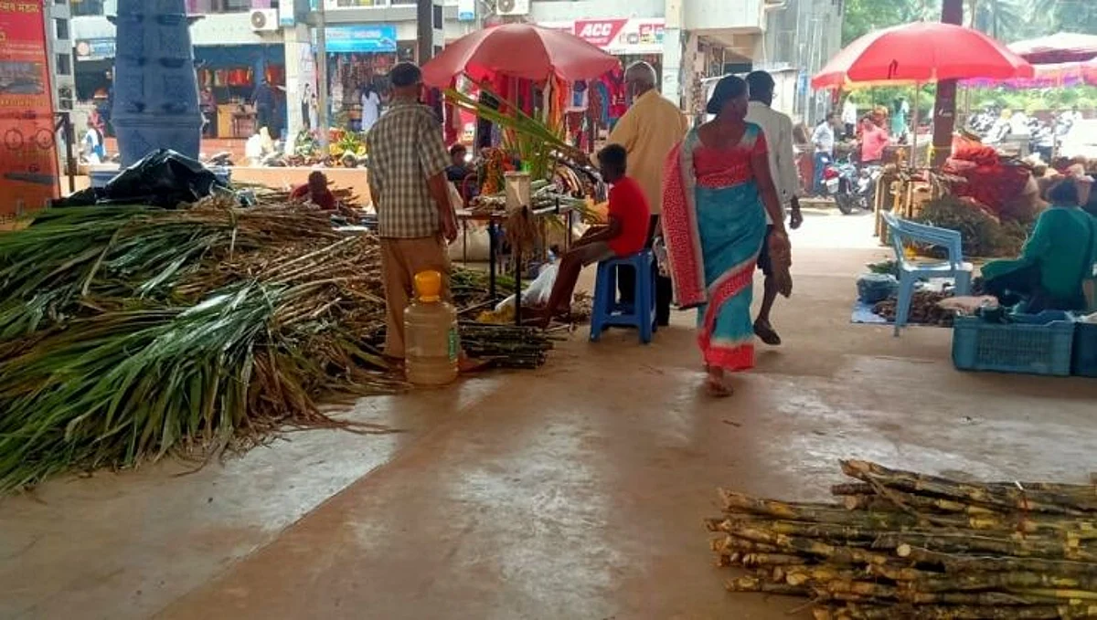 नववधू प्रमाणे सजू लागली तुळशी वृंदावने!