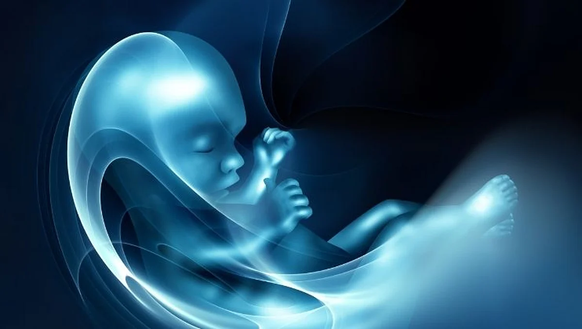 Wardha Abortion Crime Case