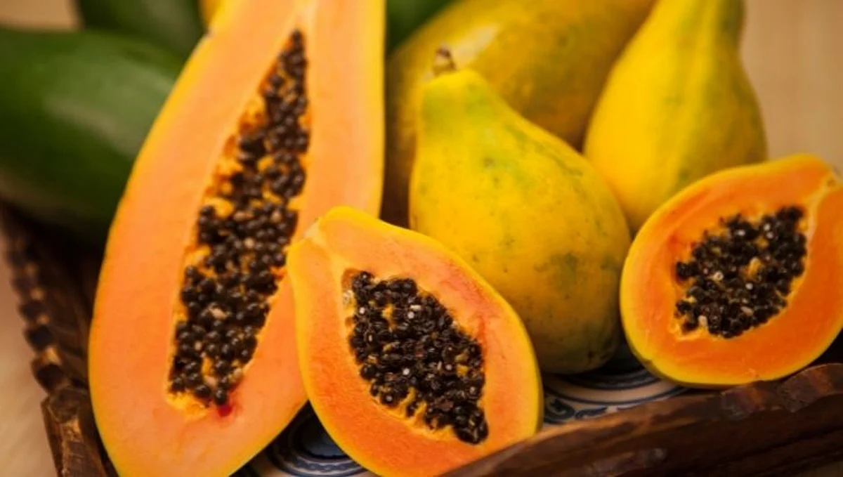 Papaya