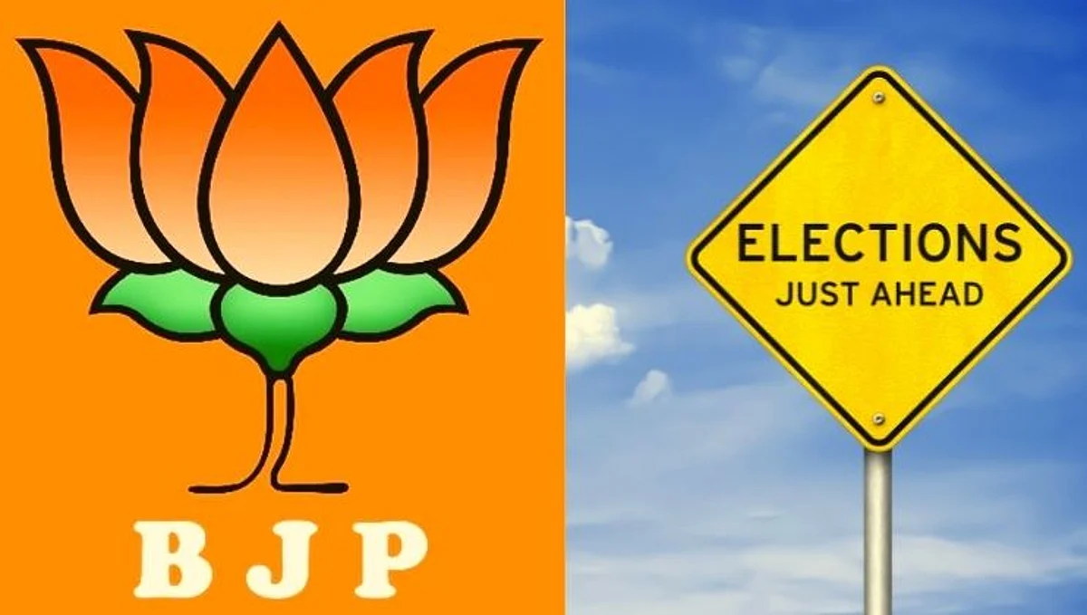Assembly Elections