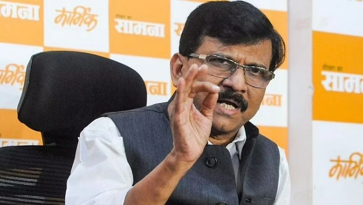 'स्वबळावर काँग्रेस गोवा जिंकू शकत नाही...: संजय राऊत