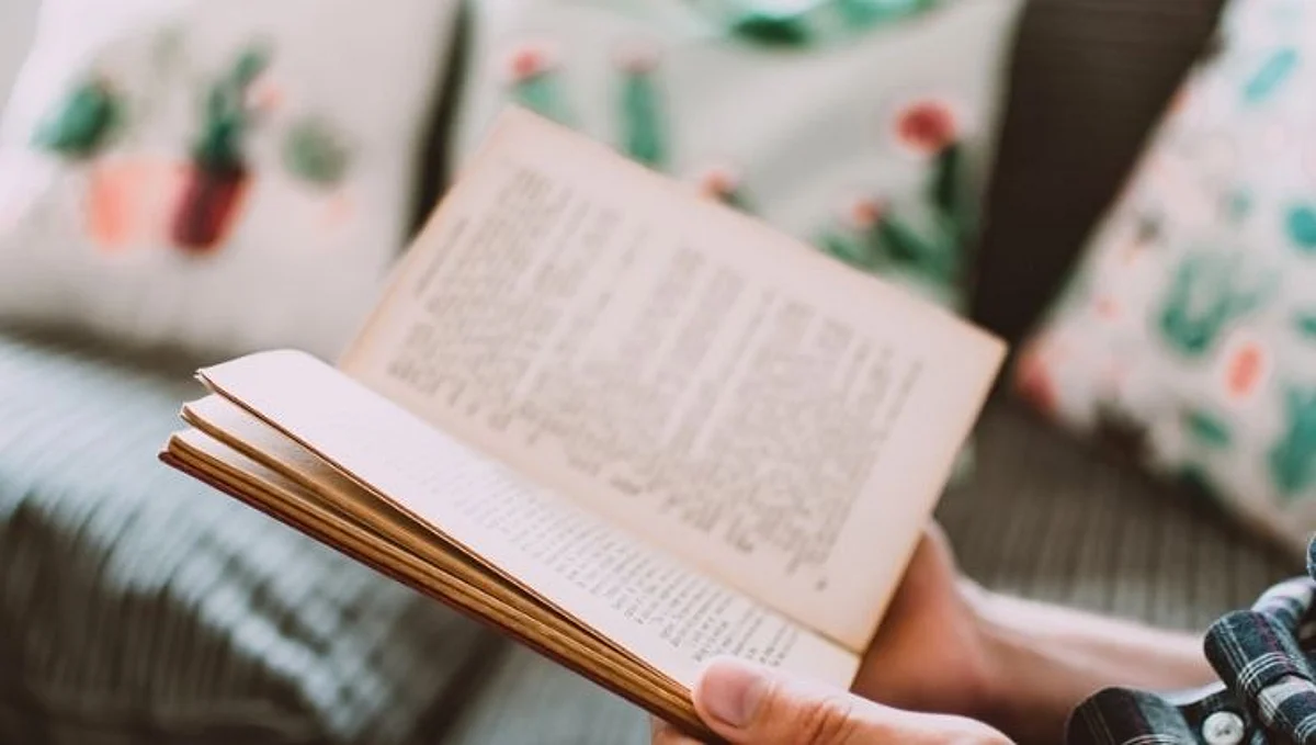 Novel